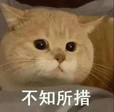 不知所措